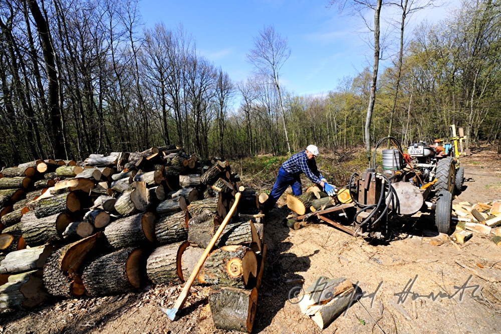 Forstarbeiter spaltet Holzstämme im Wald