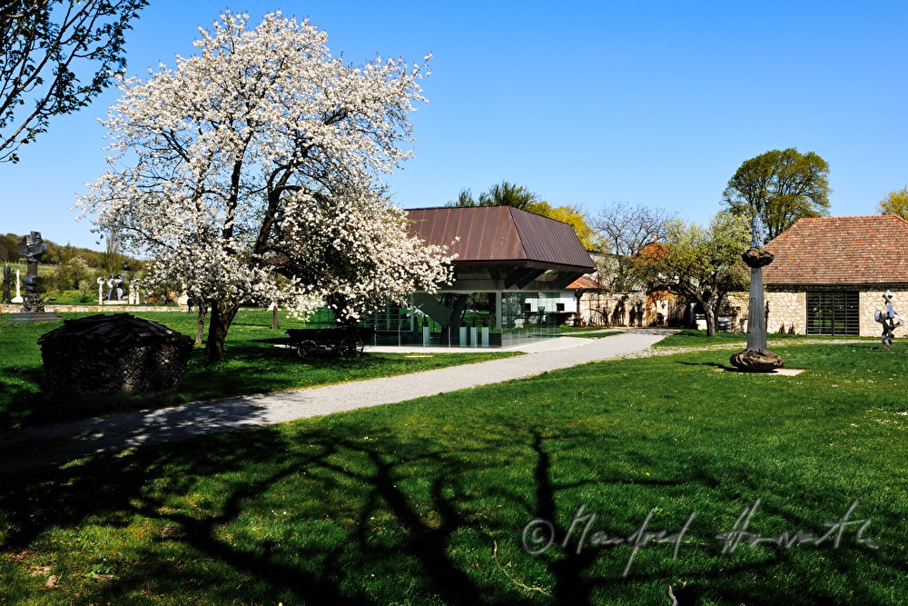 Eiermuseum, Skulpturen und blühender Baum