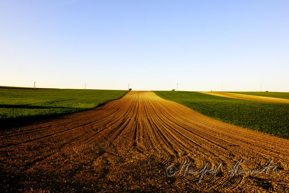 Ackerfurchen in einem frisch gepflügten Feld