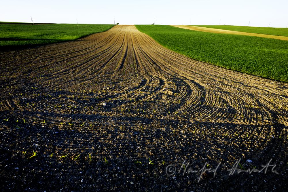 Ackerfurchen in einem frisch gepflügten Feld
