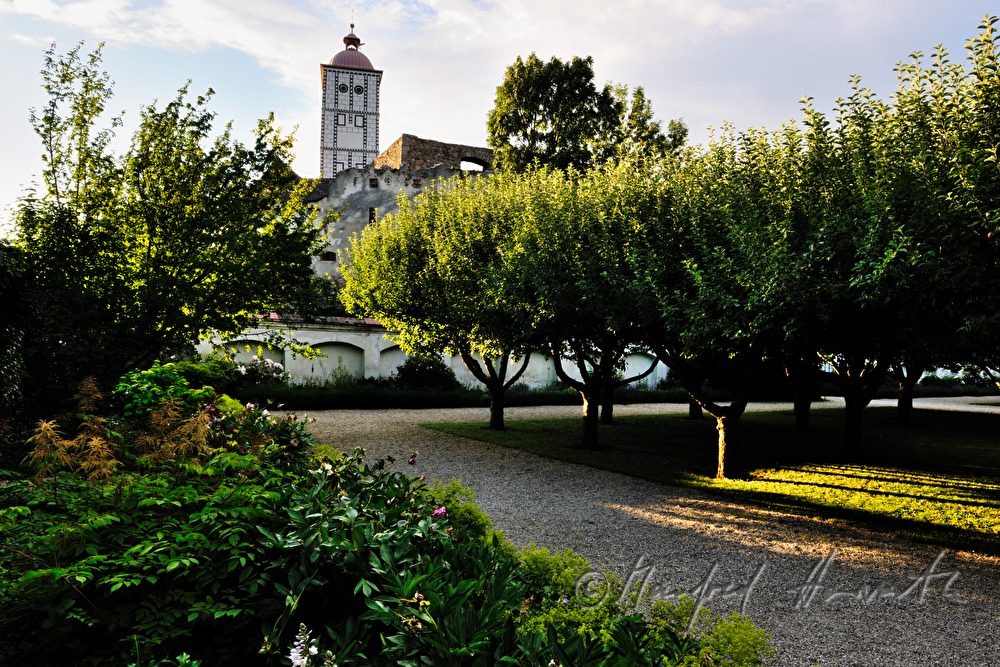 Blick durch den Apfelhain auf den Renaissance-Turm