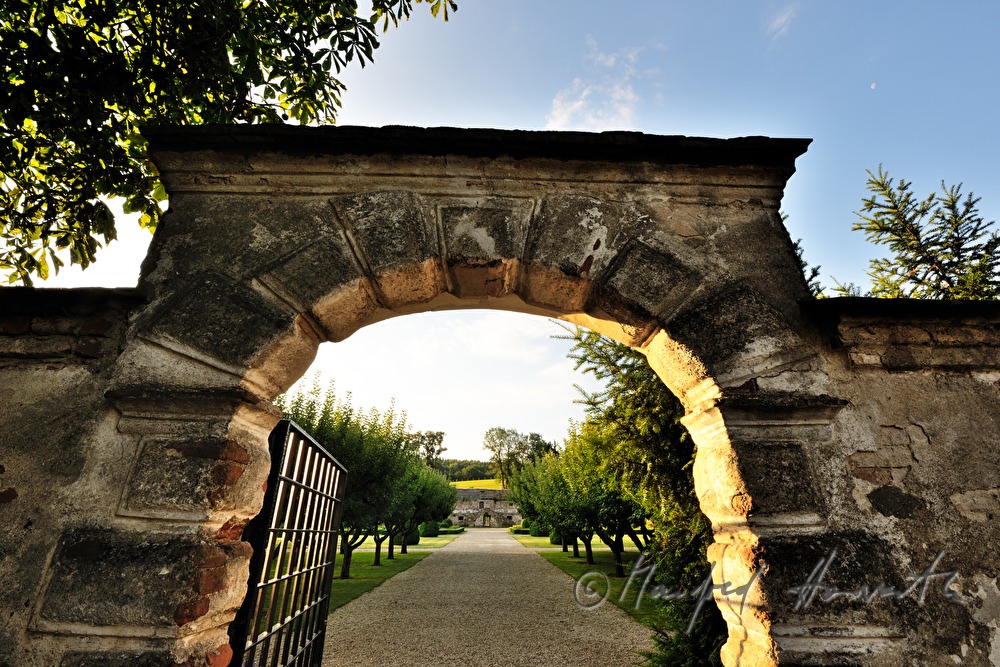 Blick durch den Eingang zum Apfelhain im Schlossgarten