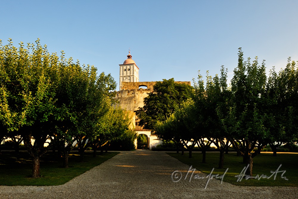 Blick durch den Apfelhain auf den Renaissance-Turm