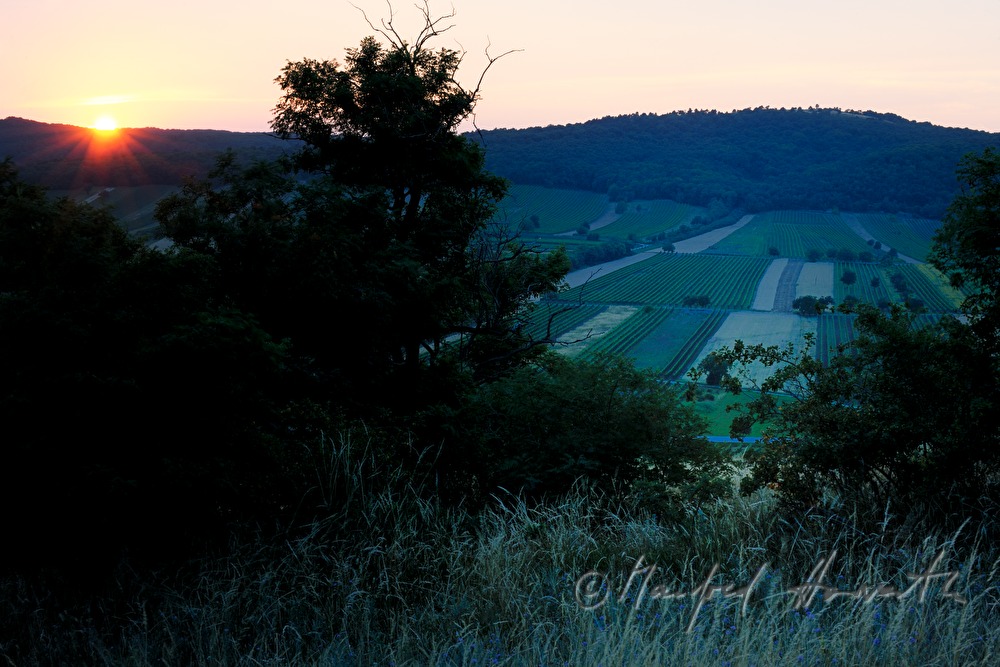 Blick vom Hackelsberg zu den Weinrieden Leithagebirges