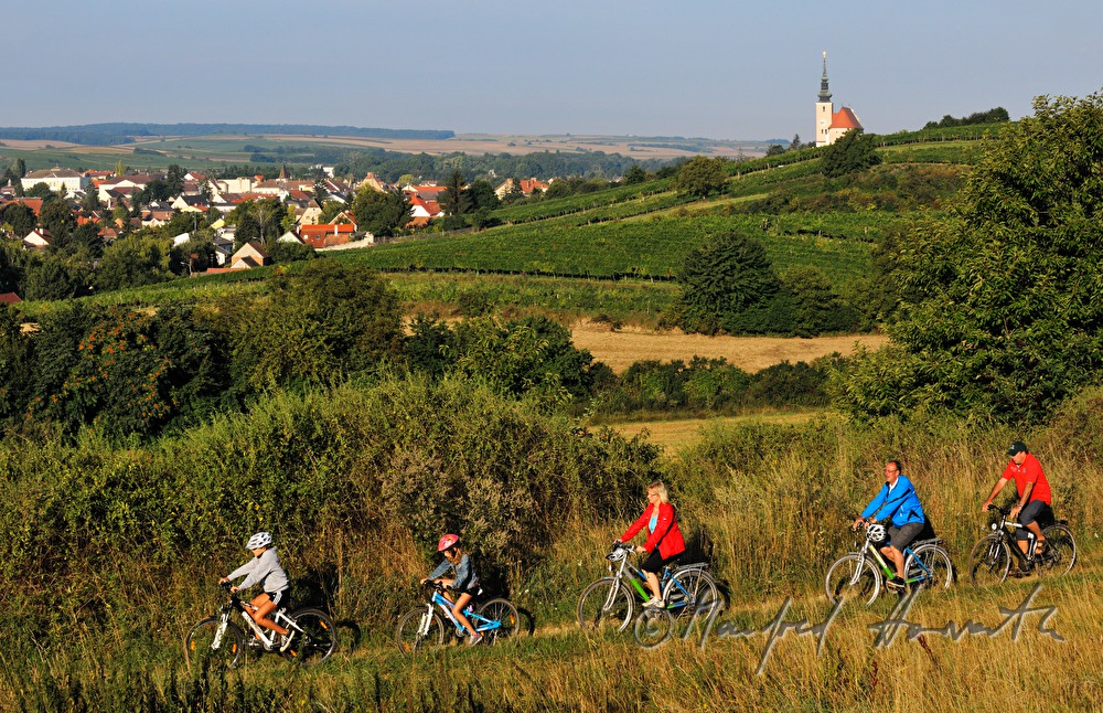 Radfahrer auf dem Radweg über den Weingärten