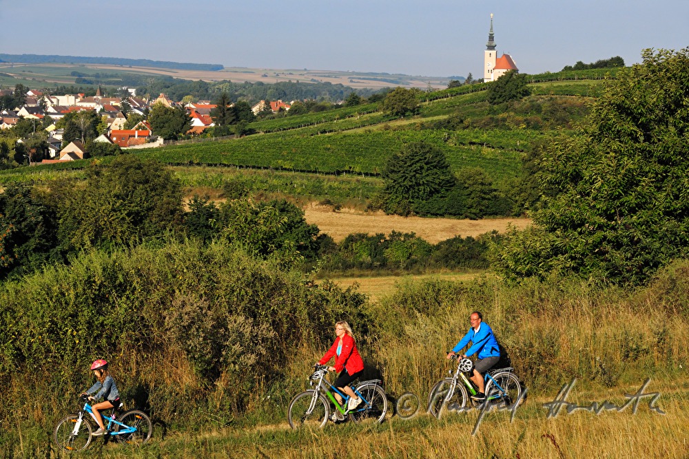 Radfahrer auf dem Radweg über den Weingärten