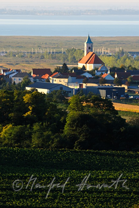 Blick vom Leithagebirge auf den Hackelsberg