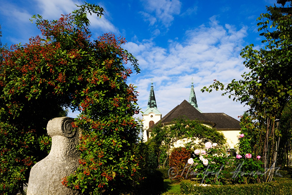 Rosengarten „Stein und Rose“ vor der Kirche