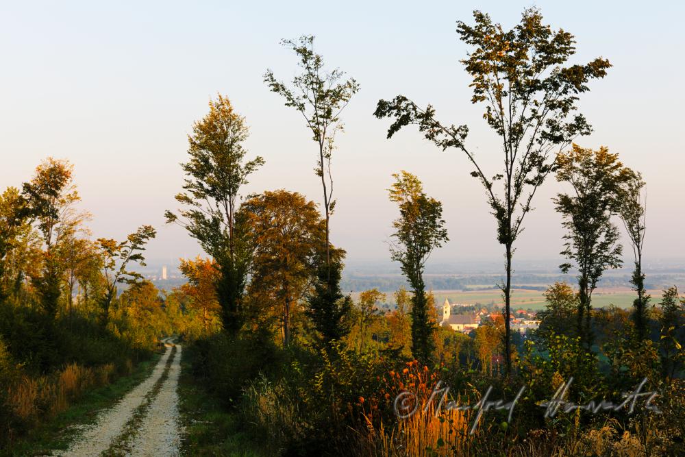 Blick von der Panoramastrasse auf den Ort