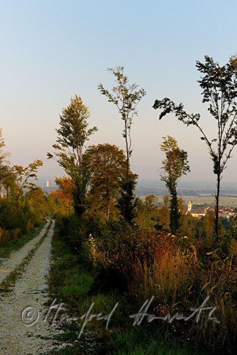 Blick von der Panoramastrasse auf den Ort