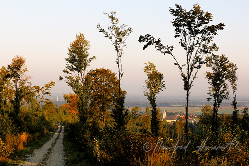 Blick von der Panoramastrasse auf den Ort