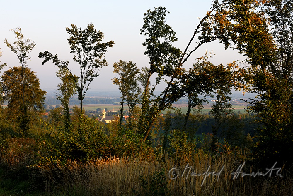 Blick von der Panoramastrasse auf den Ort