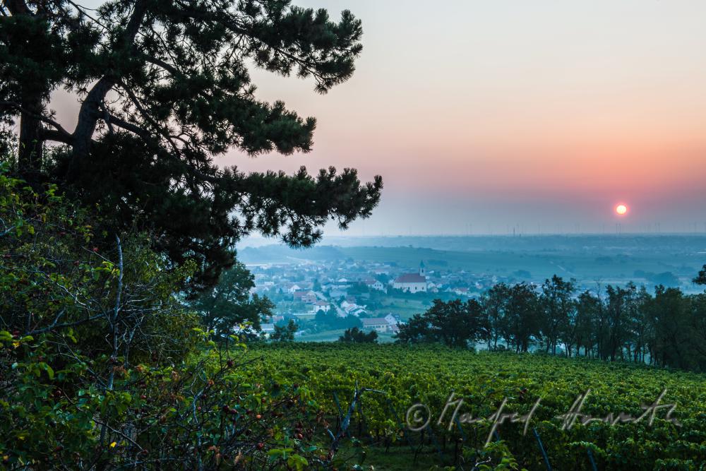 Blick vom Leithagebirge auf den Hackelsberg