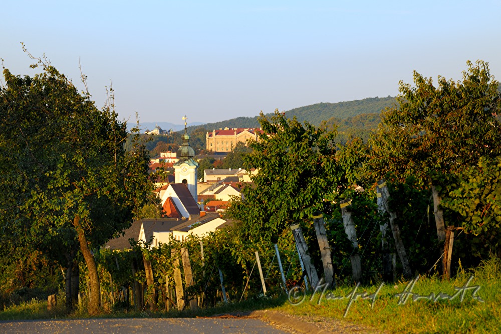 Blick von den Weinbergen über Sankt Georgen