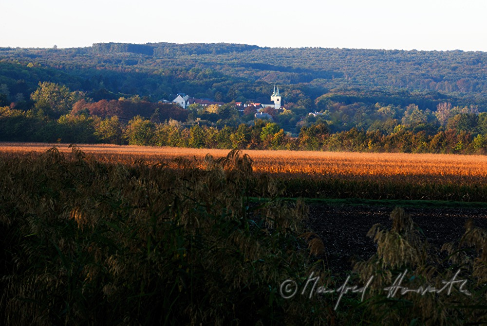 Blick von Wilfleinsdorf über die Felder