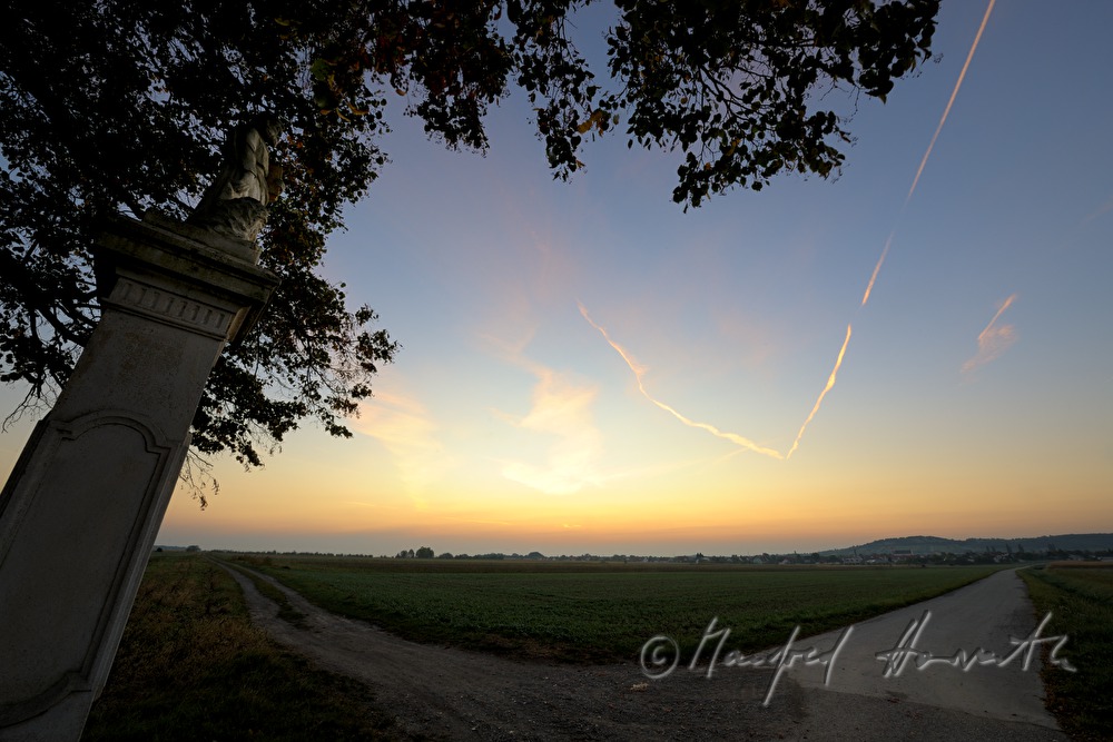 Blick vomTiergrten Richtung Neusiedlersee