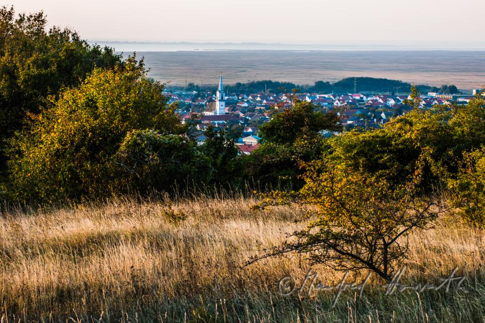 Blick vom Spitz über die Weingärten zum Neusiedlersee