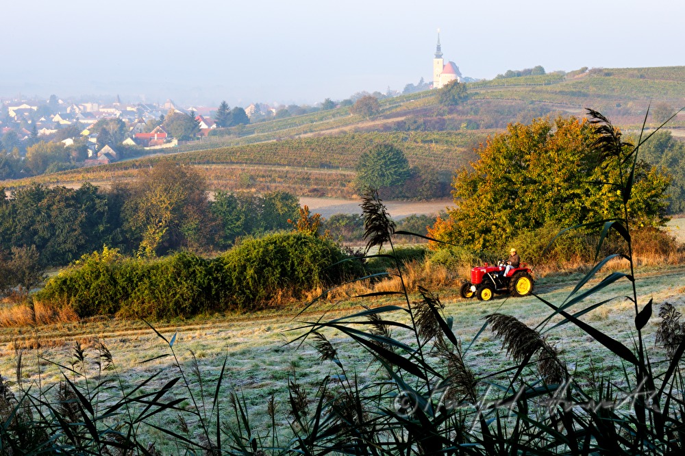 Sonntags-Oldtimer-Traktorfahrt durch die Landschaft