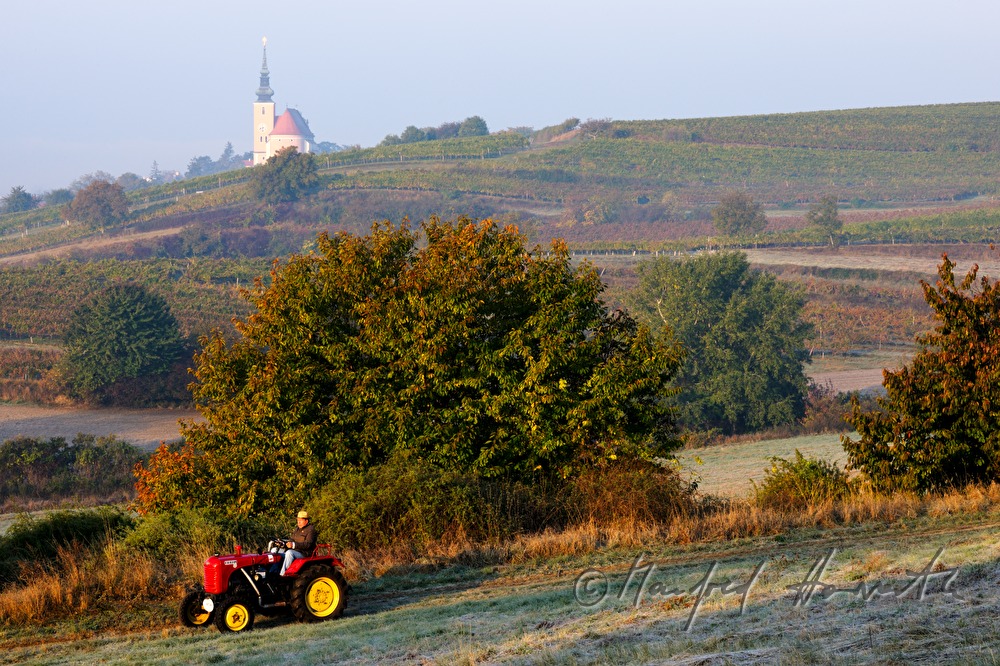 Sonntags-Oldtimer-Traktorfahrt durch die Landschaft