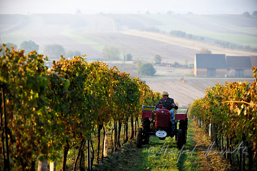 Sonntags-Oldtimer-Traktorfahrt durch die Landschaft