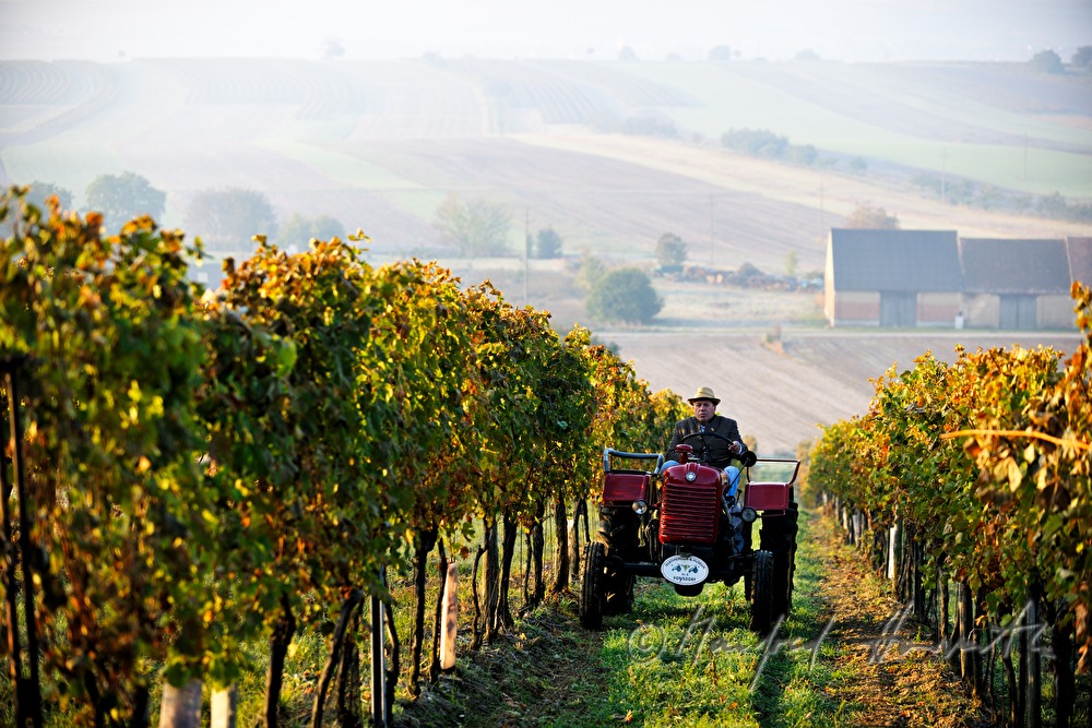 Sonntags-Oldtimer-Traktorfahrt durch die Landschaft