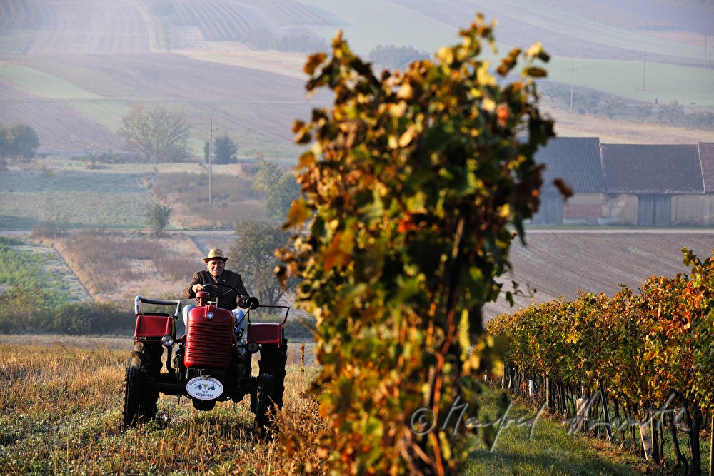 Sonntags-Oldtimer-Traktorfahrt durch die Landschaft