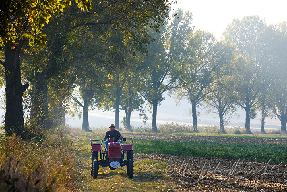 Sonntags-Oldtimer-Traktorfahrt durch die Landschaft