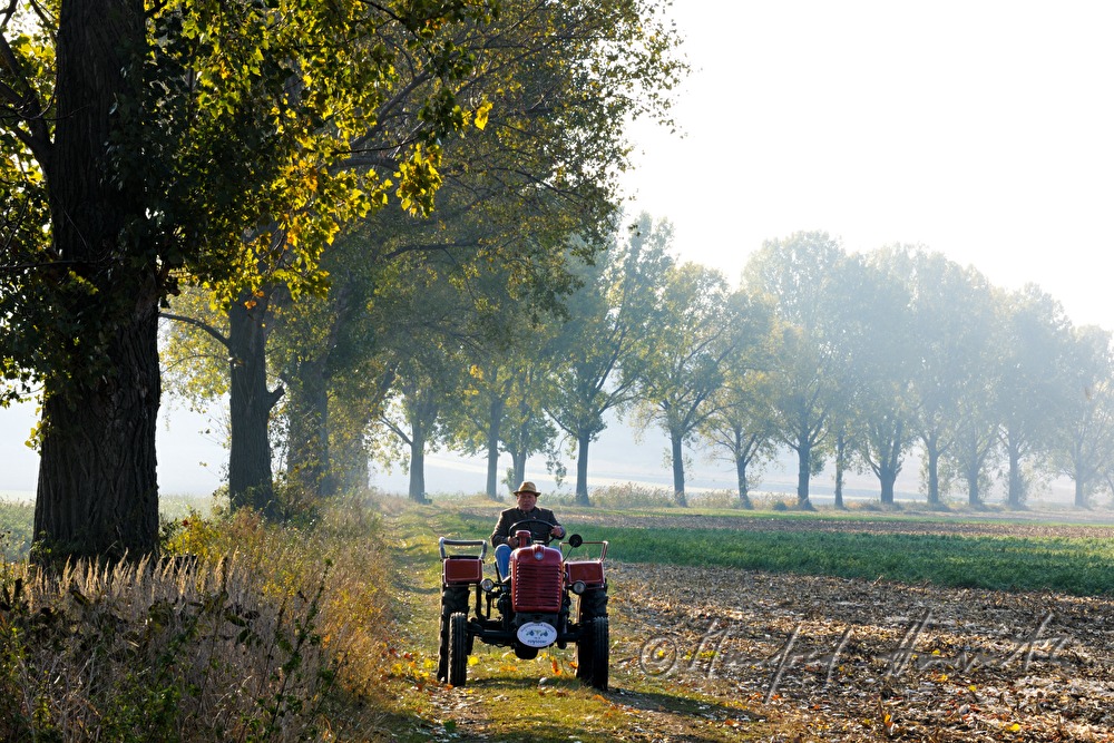Sonntags-Oldtimer-Traktorfahrt durch die Landschaft