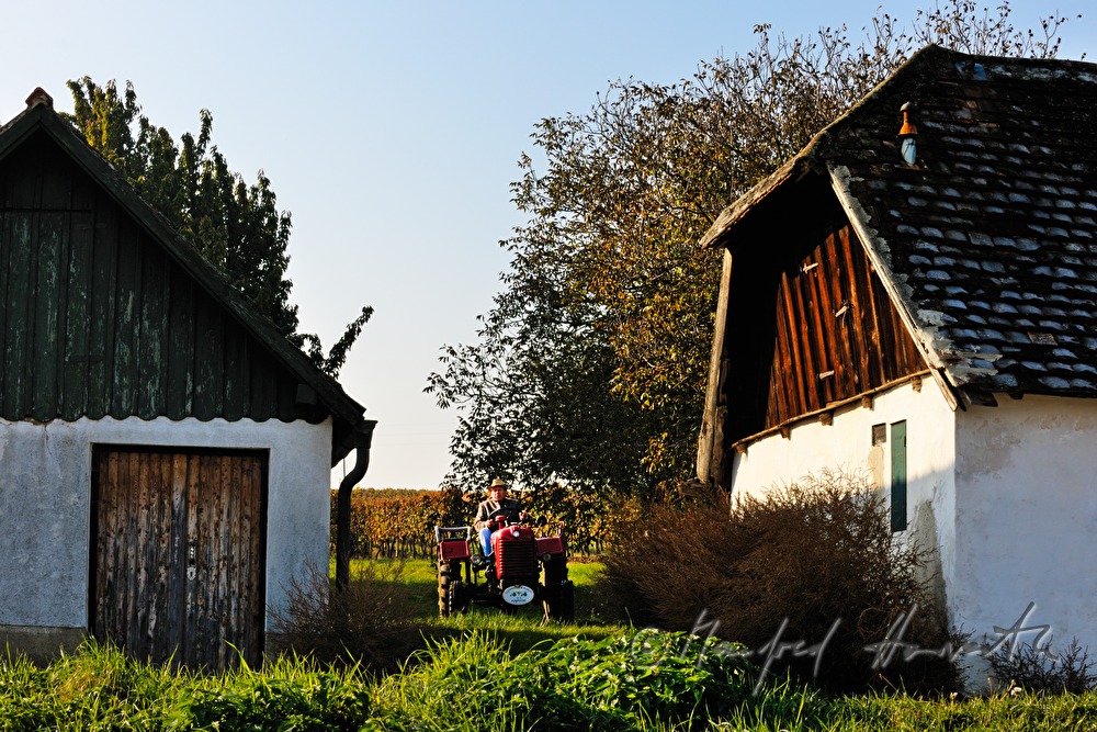 Sonntags-Oldtimer-Traktorfahrt durch die Landschaft