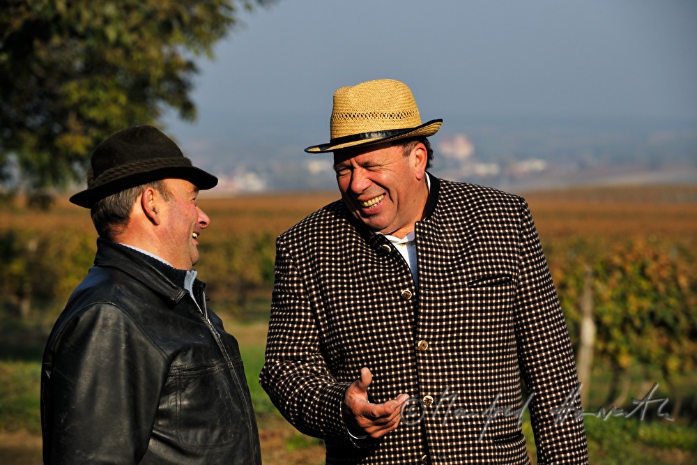 Sonntags-Oldtimer-Traktorfahrt durch die Landschaft