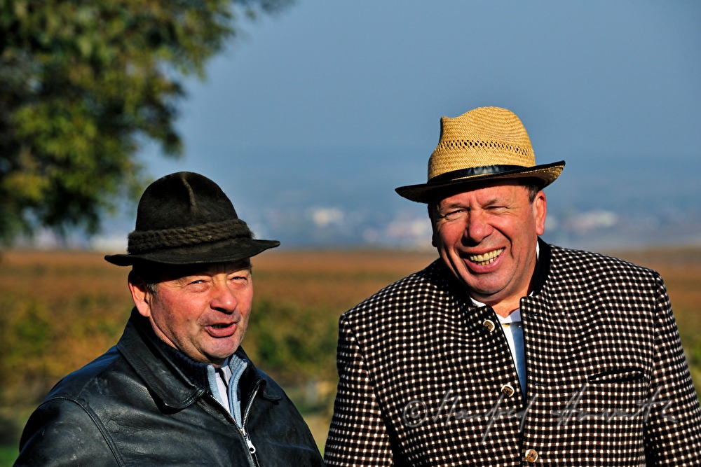 Sonntags-Oldtimer-Traktorfahrt durch die Landschaft