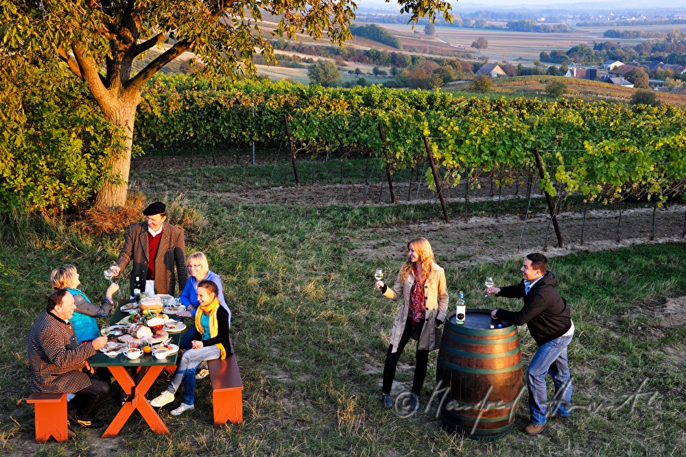 Familienfest im Weingarten