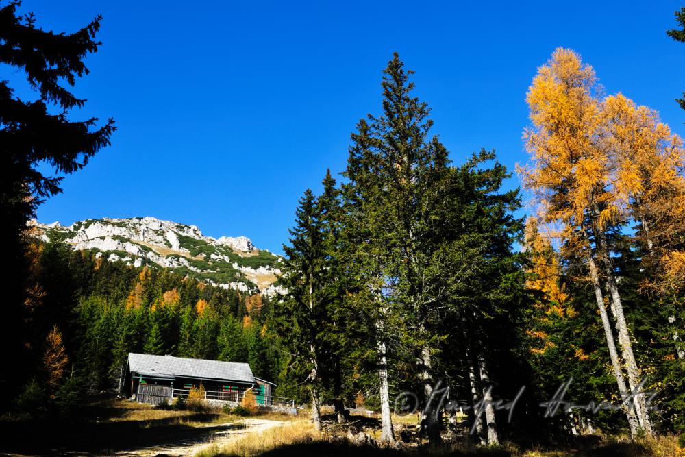 Almhütte am Preiner Gscheid