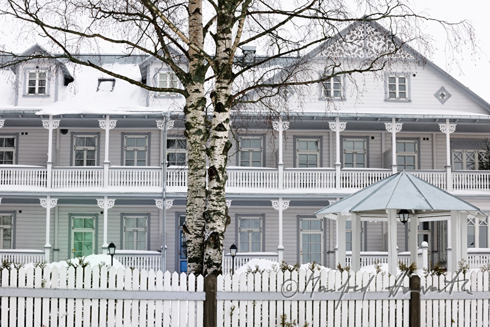 Birken und Hotel Promenaadi