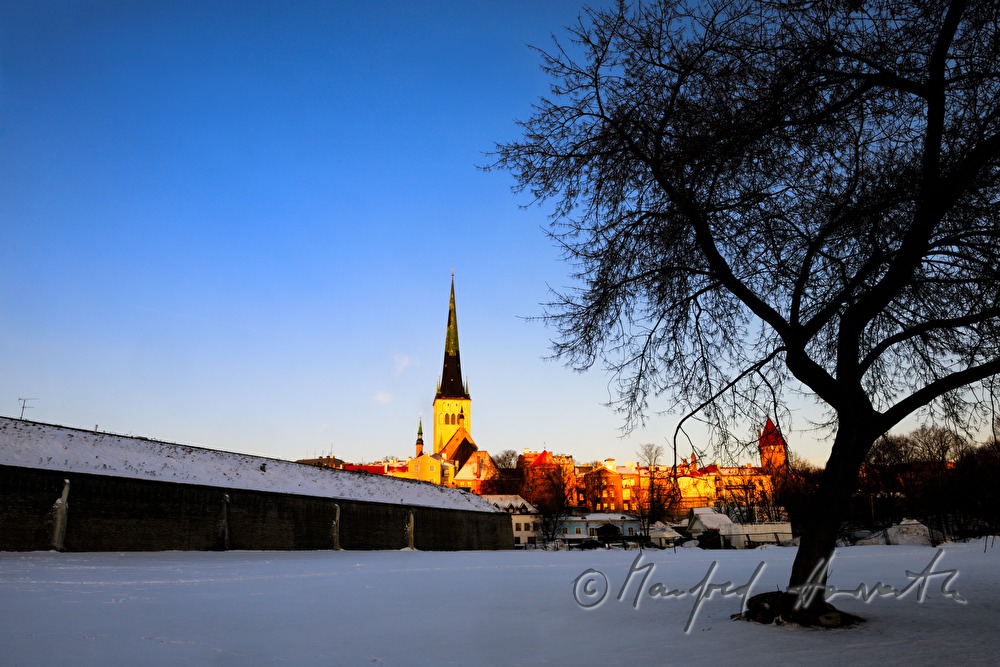 Olaikirche (Olafkirche)