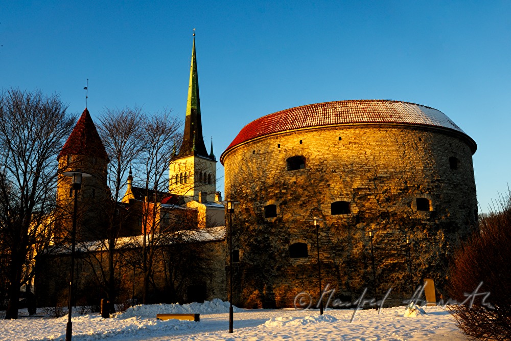 Kanonenturm „Dicke Margarethe“ und Olaikirche