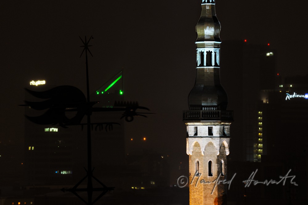 Blick vom Domberg auf das Rathaus