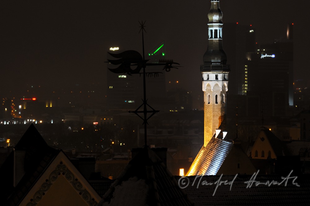 Blick vom Domberg auf das Rathaus