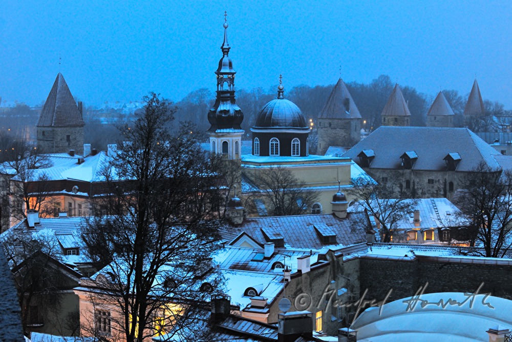 Blick vom Domberg auf die Türme der Viru Tore