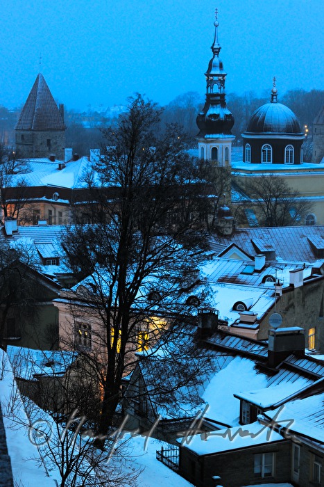 Blick vom Domberg auf die Türme der Viru Tore
