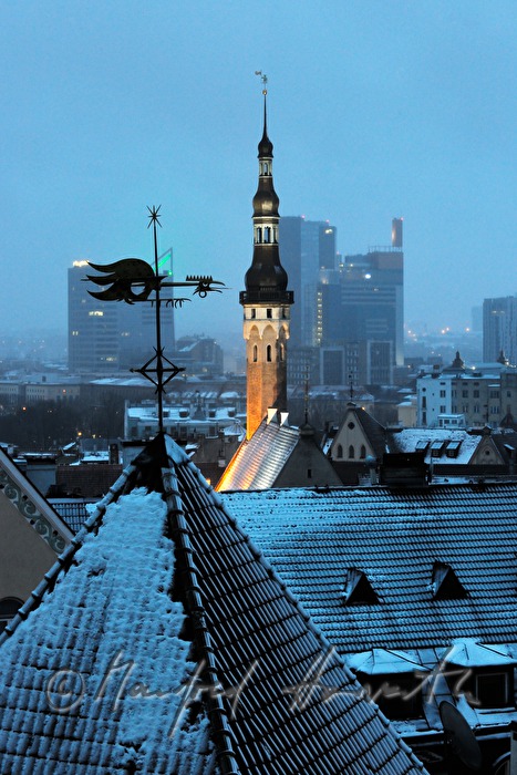 Blick vom Domberg auf das Rathaus