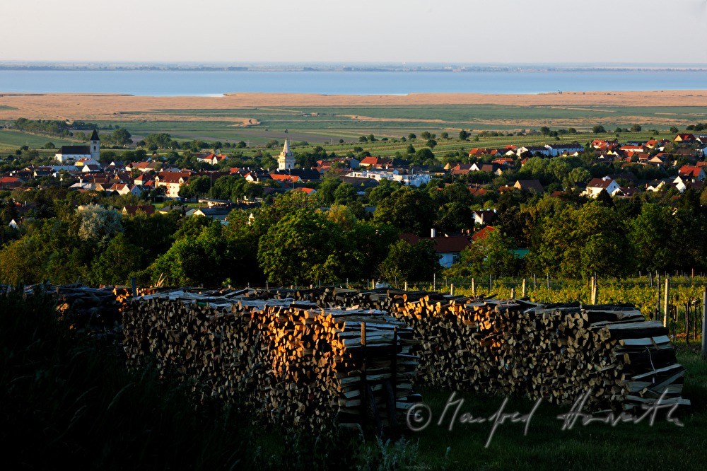Blick vom Leithagebirge auf den Neusiedlersee