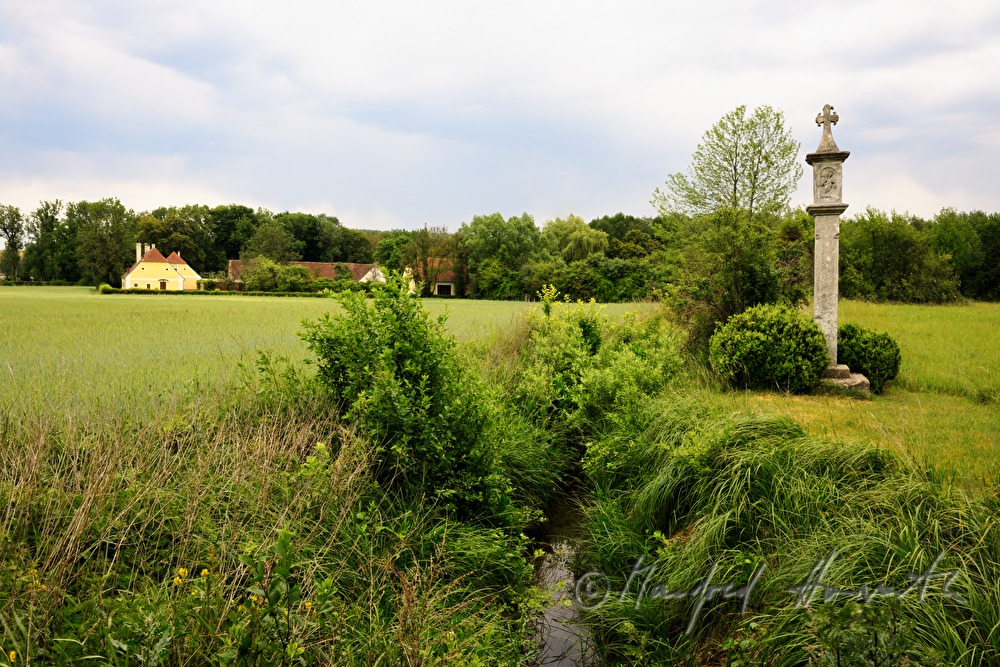 Gutshof Schönborn-Buchheim und Getreidefelder