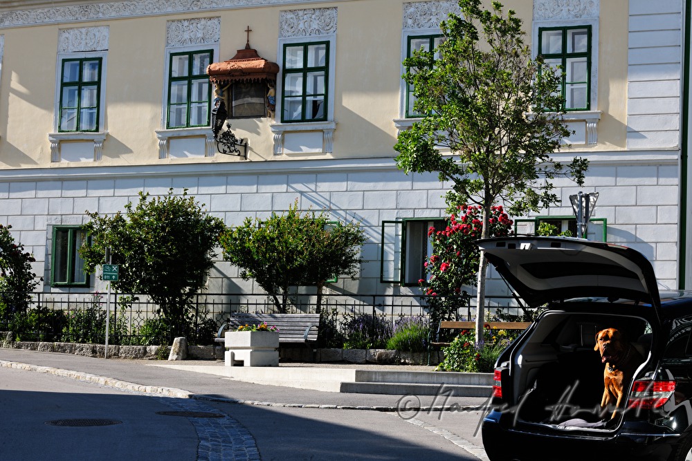 Fassade des Pleininger Haus aus dem 18. Jhdt.