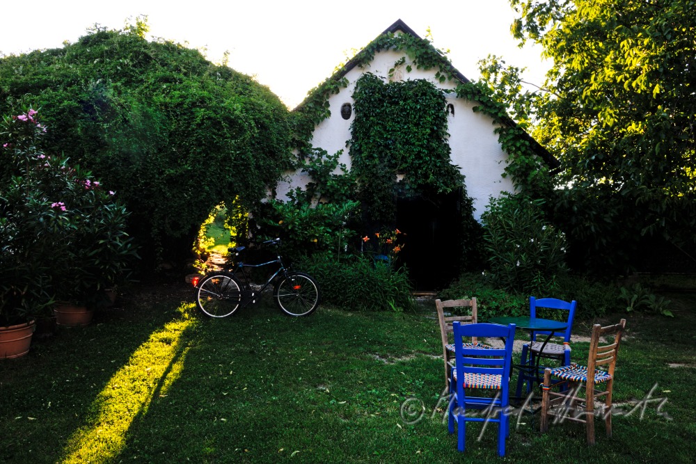 Weinkeller mit Gartenmöbeln in der Kellergasse