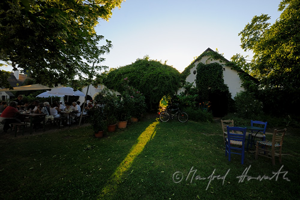 Weinkeller mit Gartenmöbeln in der Kellergasse