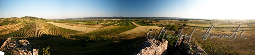Blick vom Hölzelstein zum Leithagebirge