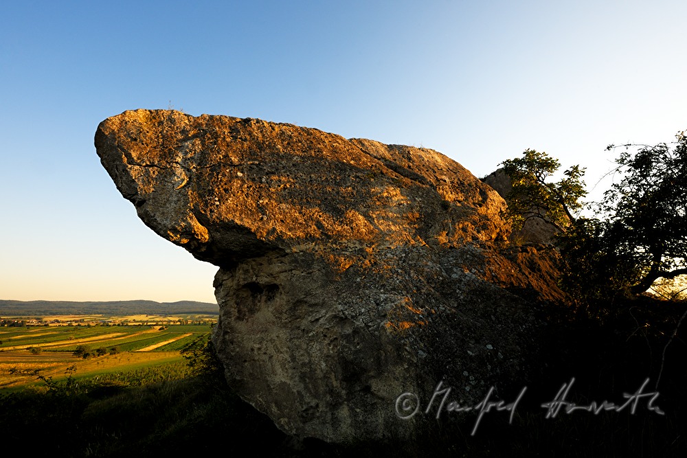 Blick vom Hölzelstein zum Leithagebirge