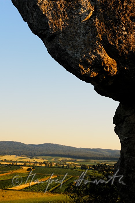 Blick vom Hölzelstein zum Leithagebirge