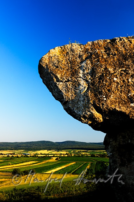 Blick vom Hölzelstein zum Leithagebirge